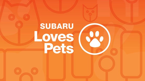 Frederick Subaru in Frederick MD