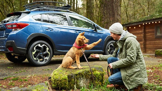 Frederick Subaru in Frederick MD