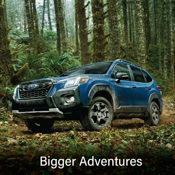 A blue Subaru outback wilderness with the words &ldquo;Bigger Adventures&ldquo;. | Frederick Subaru in Frederick MD