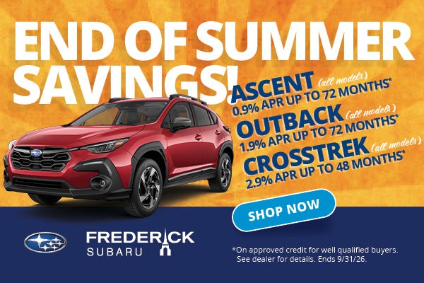 end of summer sale